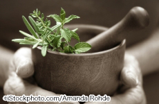 Amanda Rohde_04.jpg