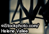 ©iStockphoto.com/Hélène Vallée3.jpg