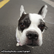 ©iStockphoto.com/tunart.jpg