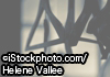 ©iStockphoto.com/Hélène Vallée3.jpg