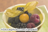 iStock_000002117911Large.jpg