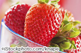 iStock_000012875273Large.jpg