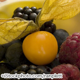 iStock_000002117911Large.jpg