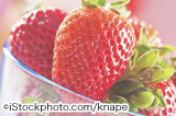 iStock_000012875273Large.jpg