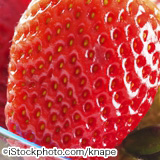 iStock_000012875273Large.jpg