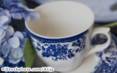 iStock_000004004230Large.jpg