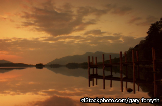 iStock_000001056991Large.jpg