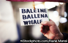 iStock_000014952956Large.jpg